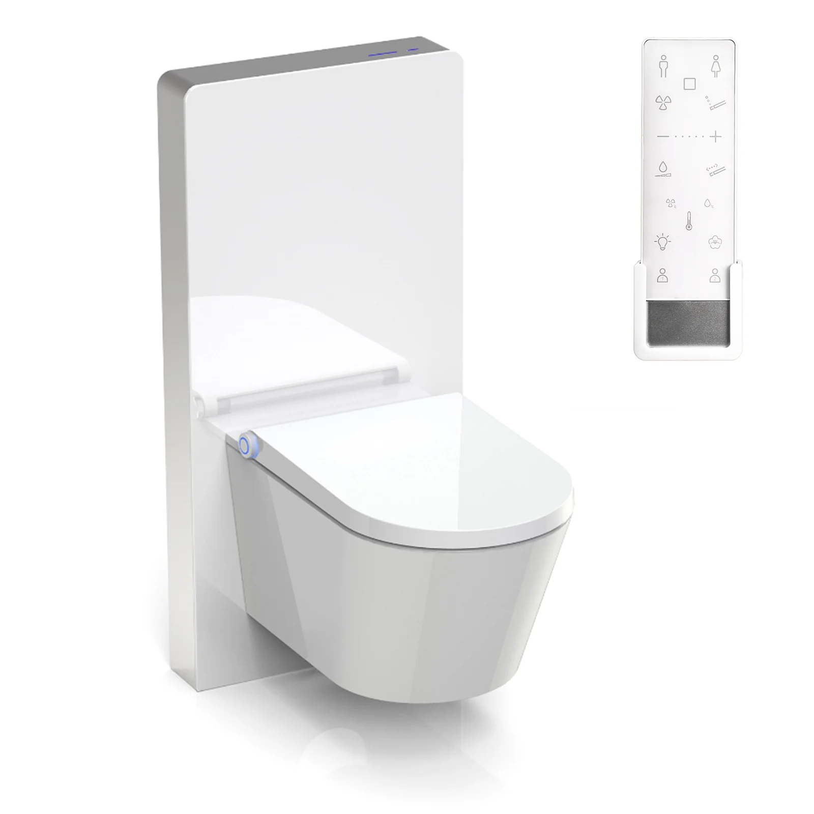 Komplet toiletpakke 37: DUSCH-WC PRO+ 1102